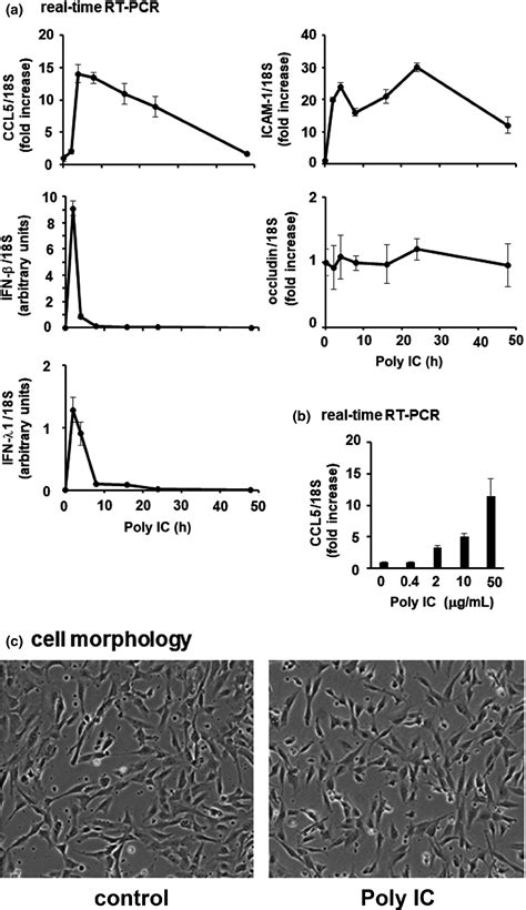 Expression Of CCL5 Is Induced By Polyinosinic Polycytidylic Acid In