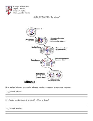 Gu A La Mitosis Pdf