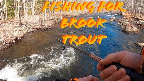 Fishing For Wild Brook Trout In Nova Scotia April Youtube