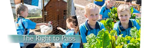 Comet Bay Primary School The Website For Comet Bay Primary School In
