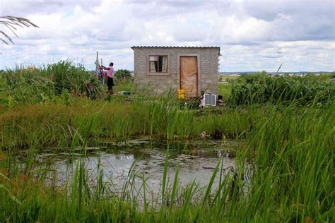 Call For Harare To Update Master Plan To Protect Wetlands Zimetro News