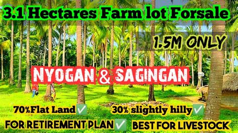 Hectares Farm Lot Forsalenyogan Sagingan Farm Lot Sale