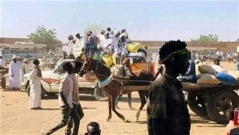 الأمم المتحدة 220 ألف طفل في السودان قد يموتون بسبب سوء التغذية