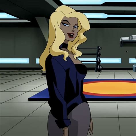 Pin By Elle On Dc Animation Black Canary Marvel Girls Dc Comics Women