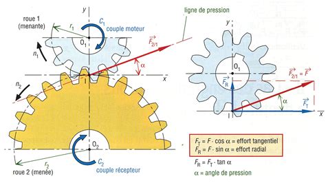 Efforts Sur Les Dentures