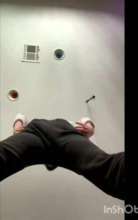 Hot Farts Sequence ThisVid