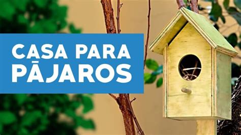 Aprende A Hacer Una Casa Para P Jaros F Cilmente En Casa Onceonzas