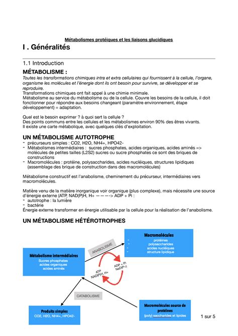 M Tabolismes Prot Iques Et Liaisons Glucidiques B T Poulies Rdc