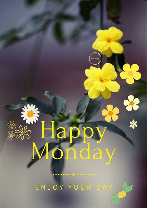 Happy Monday | Pagi