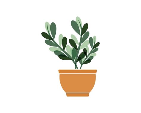 Premium Vector Plant In Pot Illustration Vector Template Design