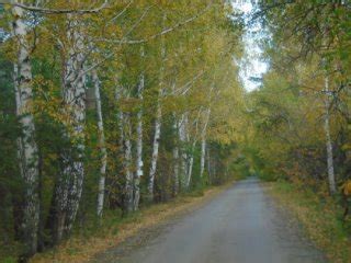 перова людмила