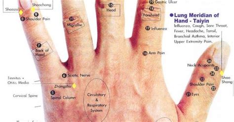 Download Hand Acupressure Chart Hand Acupressure Chart Hand Acupressure Points For Menstrual