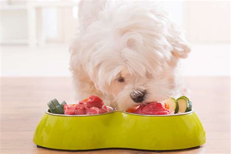 What is the Best Organ Meat For Dogs?