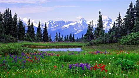 🔥 Free Download Back Gallery For Colorado Mountain Winter Desktop