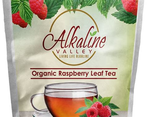 Nettle Leaf Tea or Ortiga Verde 100% Alkaline and Organic - Etsy