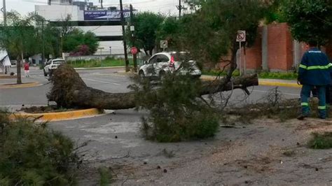 Fuertes vientos causan daños en la ciudad ABC Noticias