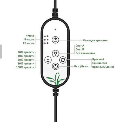 ᐉ Фітолампа повного спектру для домашніх рослин USB • Краща ціна в ...
