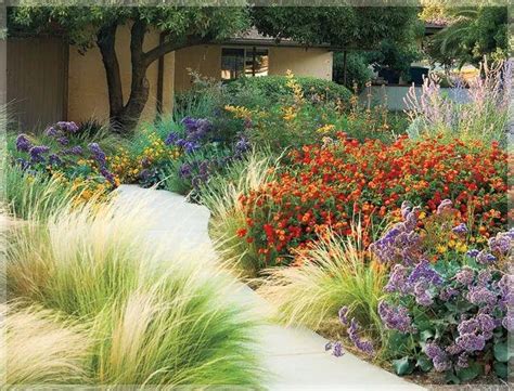 26 Drought Tolerant Plants That Will Survive The Driest 56 Off