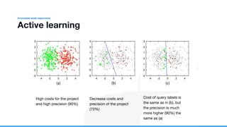 Weak Supervised Learning Kristina Khvatova PPT