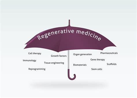 Regenerative medicine: integrate or separate? - RegMedNet