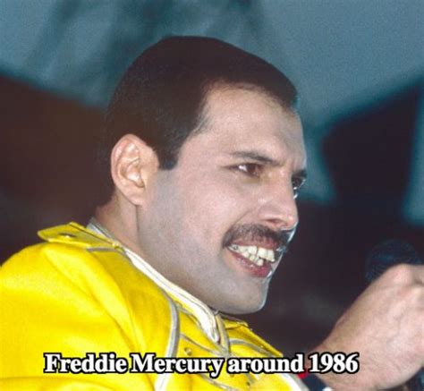 Freddie Mercury Teeth - Did They Help Queen? - Latest Plastic Surgery ...