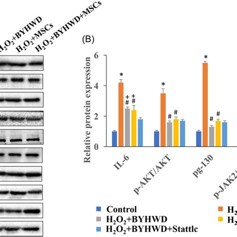 Buyang Huanwu Decoction BYHWD Significantly Inhibited The Expression