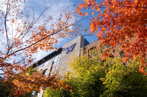 Transfer Pre Major Students University Academic Advising