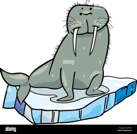 Walrus Cartoon Stock Photos And Walrus Cartoon Stock Images Alamy