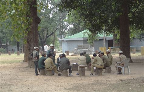 People Around Us Safari Guides Enigmatic India