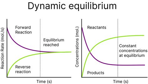 Equilibrium Class 11 Notes For NEET Chemistry Revision