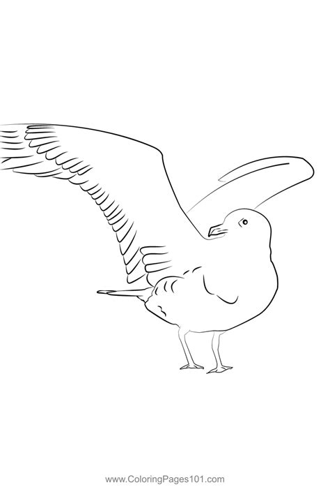 Arctic Skua 11 Coloring Page for Kids - Free Skuas Printable Coloring Pages Online for Kids ...