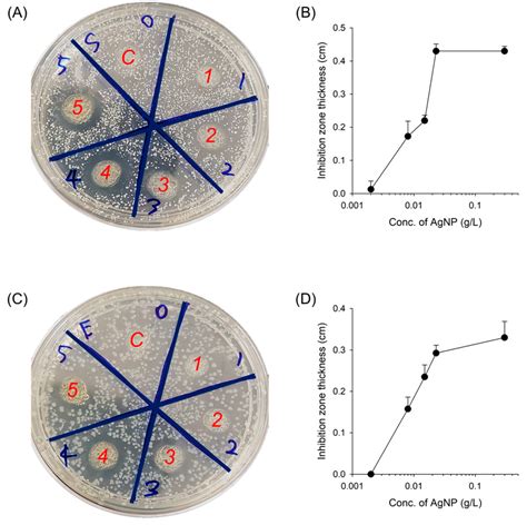 Gels Free Full Text Silver Composited Polydopamine Nanoparticles