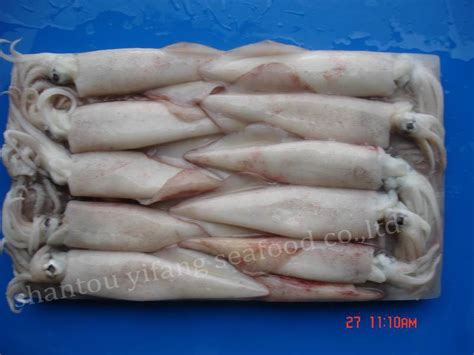 Frozen Squid Rt China According To Customer S Requirement Price Supplier 21food