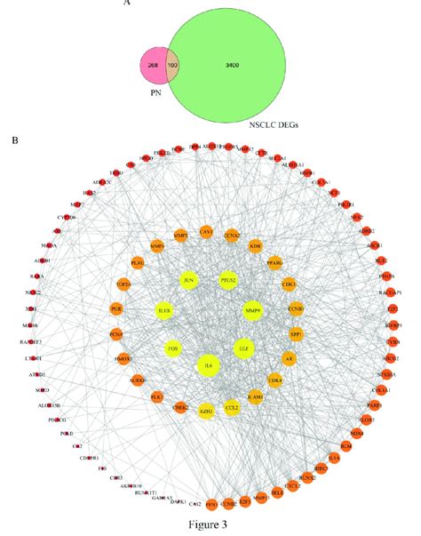 Intersection Analysis Of Compounds Of PN And NSCLC Related Genes A