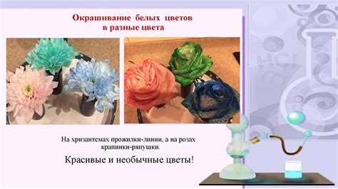 Волшебные цветы. Окрашивание белых цветов в цвета различных красителей ...
