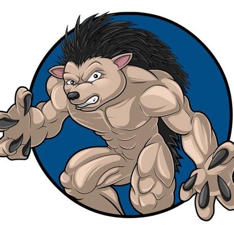 Hedgehog Mascotcharacter Character Or Mascot Contest Designcharacter
