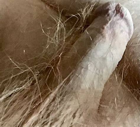 The Cock In Winter Nude Pics XHamster