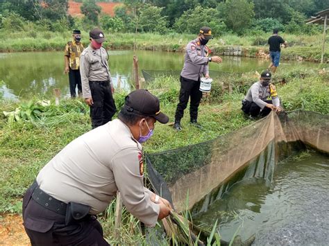 Polsek Tanjungpinang Timur Kembangkan Budidaya Ikan Air Tawar Tebar