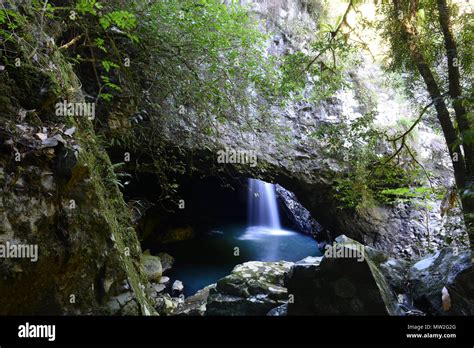 The Natural bridge and waterfall at Springbrook national park in Queensland Stock Photo - Alamy