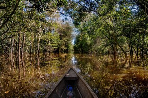 Colombian Amazon Boat Tour - Kated