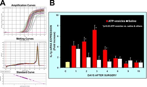 Frontiers Intracellular Atp Delivery Causes Rapid Tissue Regeneration