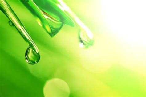Shine water drop — Stock Photo © yellow2j #5933837