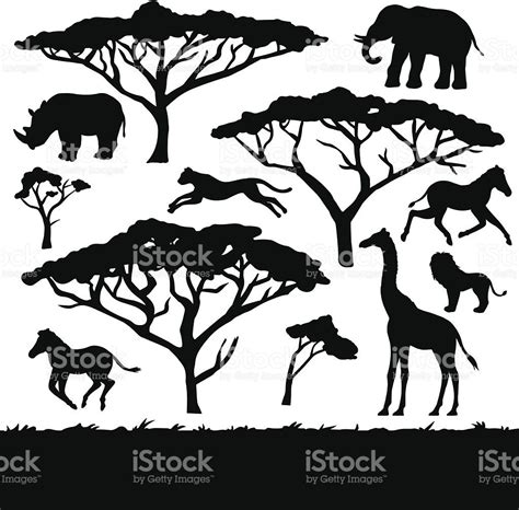 Silhouette African Savanna Trees Pets Lovers