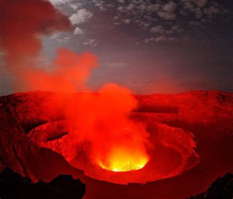 5 Days Congo Gorilla Tour And Nyiragongo Volcano Hiking The Gorilla