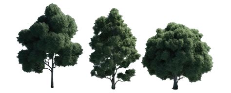 Landscape Tree On Transparent Background 23556809 Png
