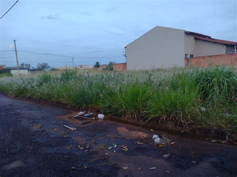 VIGILANTES DA LIMPEZA Internautas Seguem Enviando Fotos De Terrenos