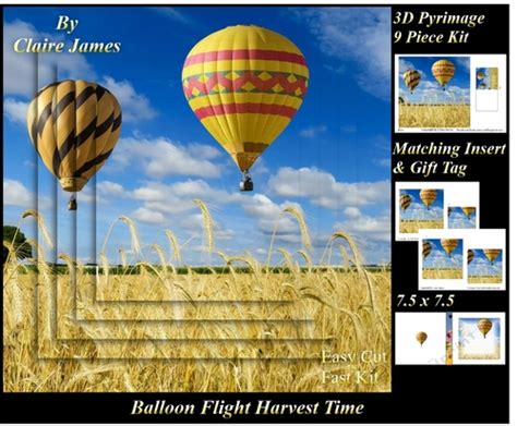Hot Air Balloons Balloon Flight Harvest Time Pyrimage Pyramid Insert Tag CUP955735