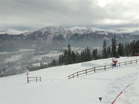 Kolej Linowo Terenowa Pkl Guba Wka Zakopane Polska Opinie