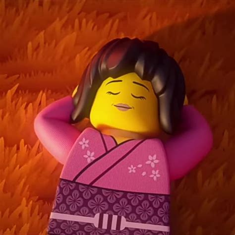 Pin By Samantha Lynn On NINJA In 2024 Pink Ninja Lego Ninjago Ninjago