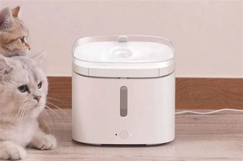 Xiaomi Smart Pet Food Feeder E Smart Pet Fountain Per Gli Amici A